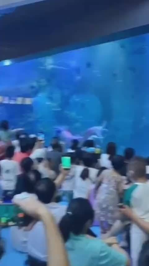 滨州海底世界正式开放,票价贵不贵?????滨州海底世界的运营商滨州汇泉海洋科技开发有限公司