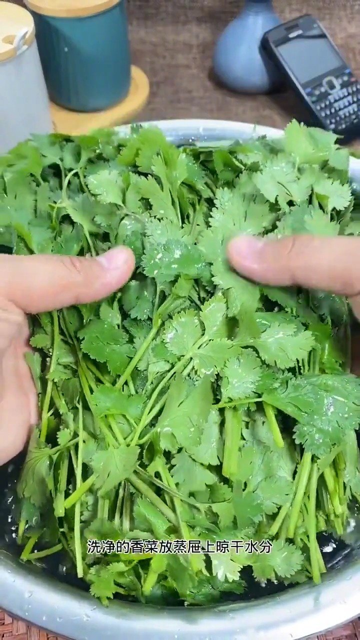 香菜这样储存,一冬天都不用买了,天天吃新鲜香菜,冬日里的家乡美食! 