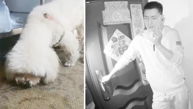 【汪汪队立大功!老人晕倒狗狗狂叫邻居报警救人 [心]】近日,黑龙江同江一八旬独居老人的狗狗