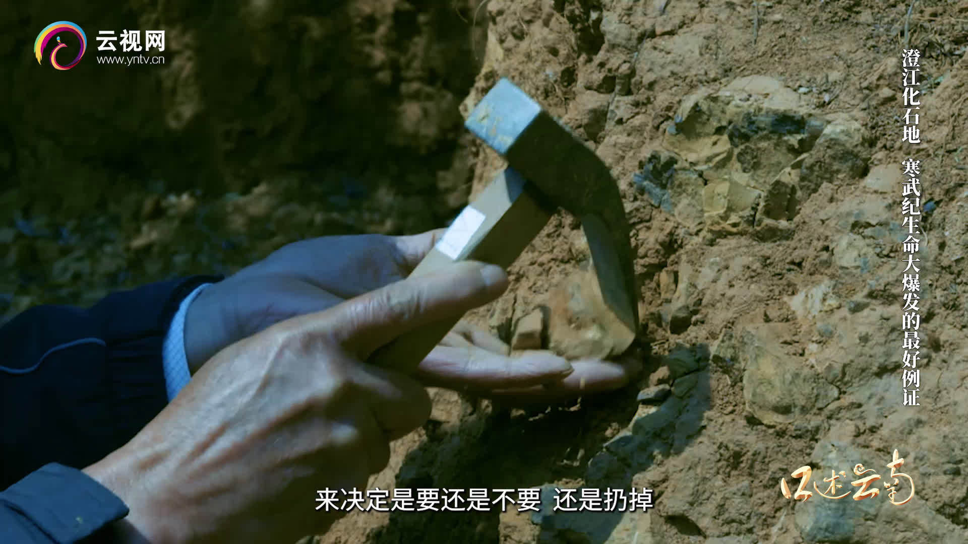 【寒武纪生命大爆发的画卷,在这里完整展现!】5亿年前,澄江这片土地是一片汪洋大海。这里生活
