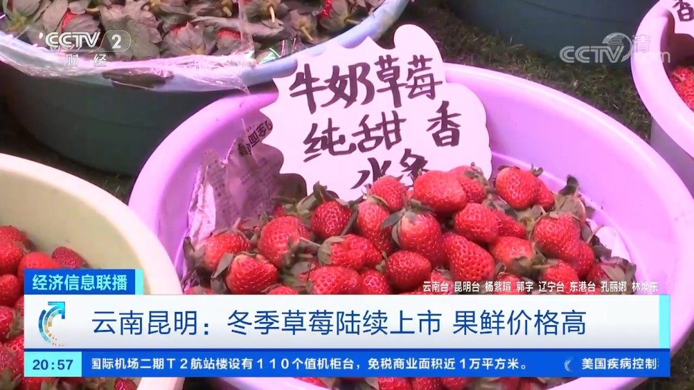 【冬季草莓陆续上市 冬季草莓一颗3块3】最近,各地的冬季草莓陆续上市。近日,在昆明大观篆新