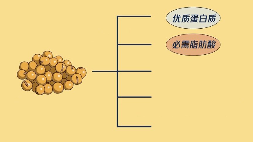 【大豆类有什么营养?】大豆,包括黄豆、黑豆、青豆,就是能单独打出豆浆或磨出浆的豆类。日常生