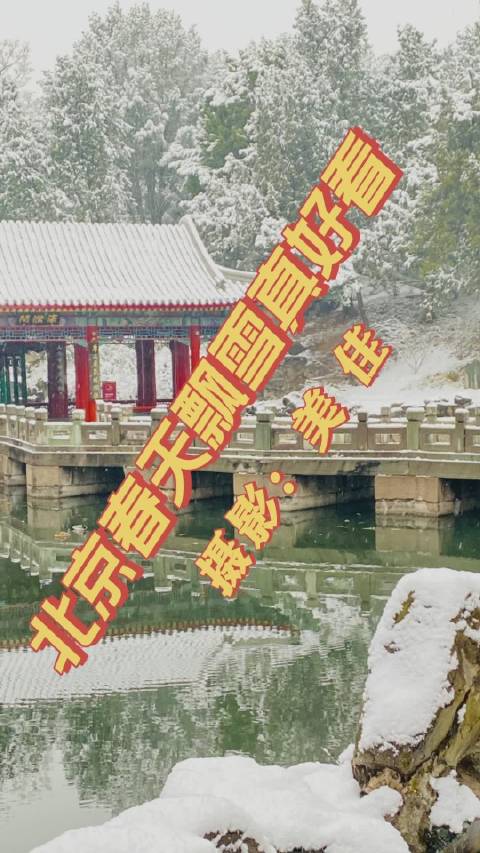 昨日京城雪纷飞,银装素裹美佳人。大红门前匆匆过,穿云破雾是青春。