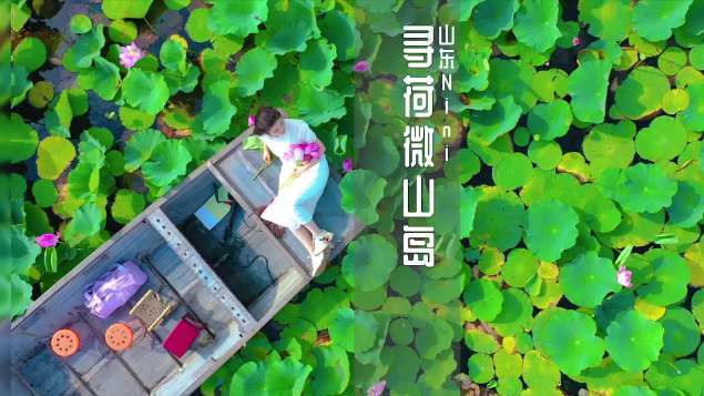 #打卡好客山东# #齐赏好景# 在享有“中国荷都”的微山湖与十万亩荷花相伴荡桨泛舟,深入湖