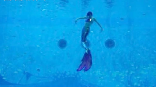 【每个海洋馆 都有一群乘风破浪的美人鱼姐姐】上海海昌海洋公园人鱼童话表演中的美人鱼扮演者叫