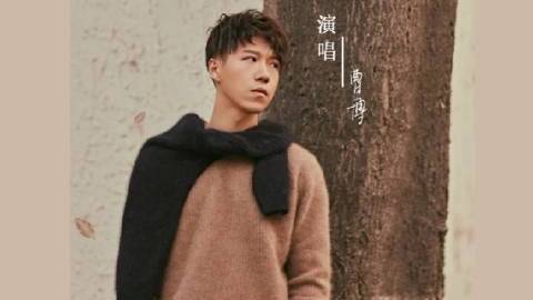 拍摄冰糖炖雪梨的时光总是令人怀念,所以就写了这首歌,算是对自己的一个总结。很幸运这首歌出现