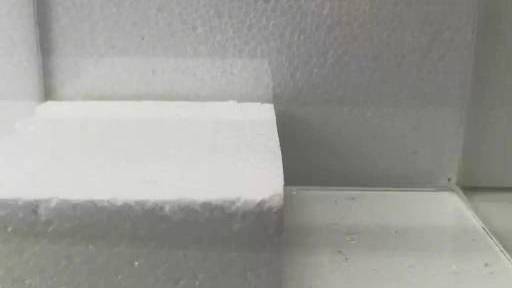 一场公平的对决: 小龙虾PK蝎子!  小视频星辰计划  