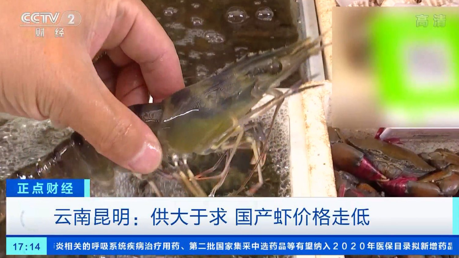 【云南国产鲜活虾价格降了:云南基围虾每公斤便宜20元,竹节虾便宜了30元】受多重因素影响,