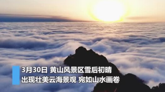 【春日黄山云海涌】3月30日,黄山风景区雪后初晴,出现壮美云海景观,宛如山水画卷。莲花峰顶
