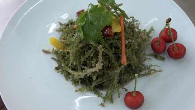 【炎炎夏日必吃～青海人餐桌上的最爱】在青海高海拔地区,有一种生长在阴暗潮湿青苔旁边的野菜,