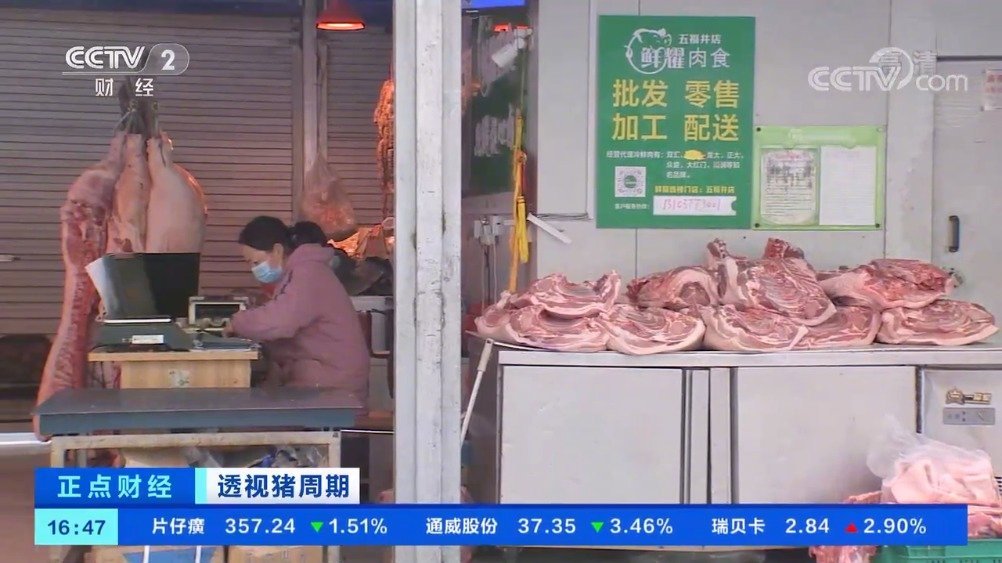 【猪肉价格一年跌去一半 养殖户清空猪圈躲避猪周期】春节临近,正是家家户户准备年货之际,也是