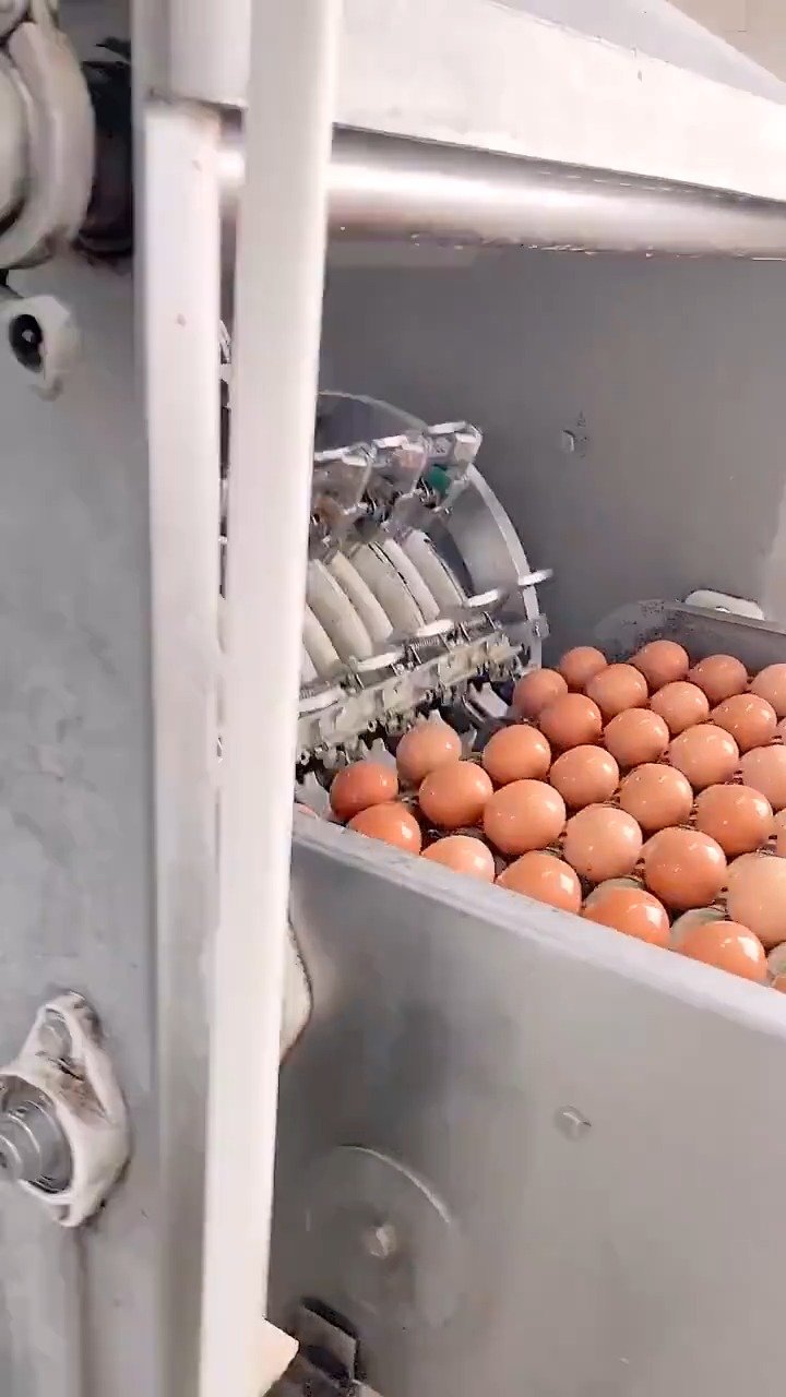 鸡蛋原来是这么打碎的       