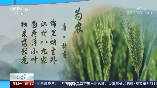 &nbsp;【#比昙花花期还短的花#】清明节赏什么花 清明时节,花开满城,“花”是清明节气的“信使”