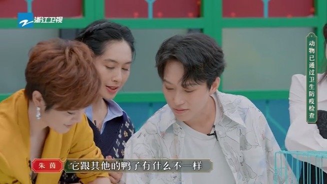 请吃饭的姐姐# 当@蔡少芬 得知 一只科尔鸭的价格,第一反应竟然是cue@洪欣 ,说鸭子比