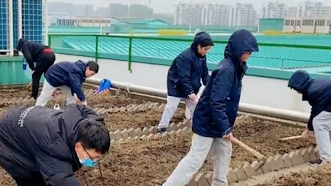 【杭州一中学让学生按二十四节气种菜】近日,杭州一中学把教学楼顶开辟给学生种菜。学校赵老师表