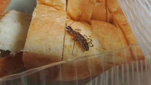 滨州佳乐家超市面包吃出“毛毛虫”,店大欺客不接受政府部门调解! 网友爆料:9月25日市民李