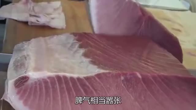 超过200斤金枪鱼才有资格被他切,加工费1000元,下刀丝滑像切西瓜        #国庆