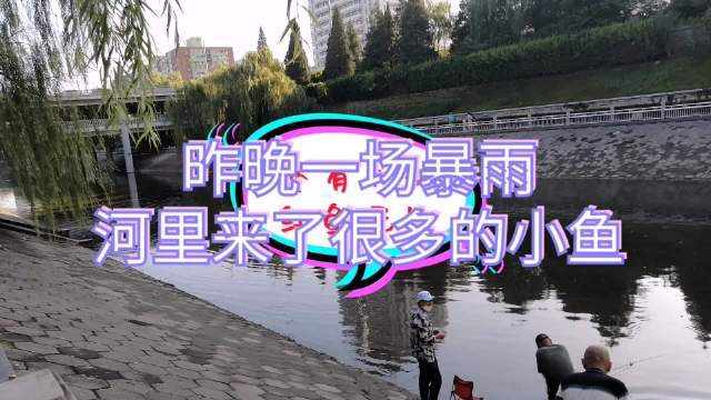 昨天晚上,北京突然下了一场暴雨,早晨河里突然来了很多很多的小鱼,还有红色的小鱼,不知道是不