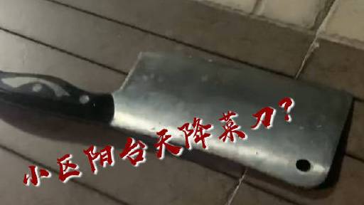 【广州一小区天降菜刀,业主直呼:我平时就在这跳绳,简直离谱】8月11日晚,广州市白云区云山
