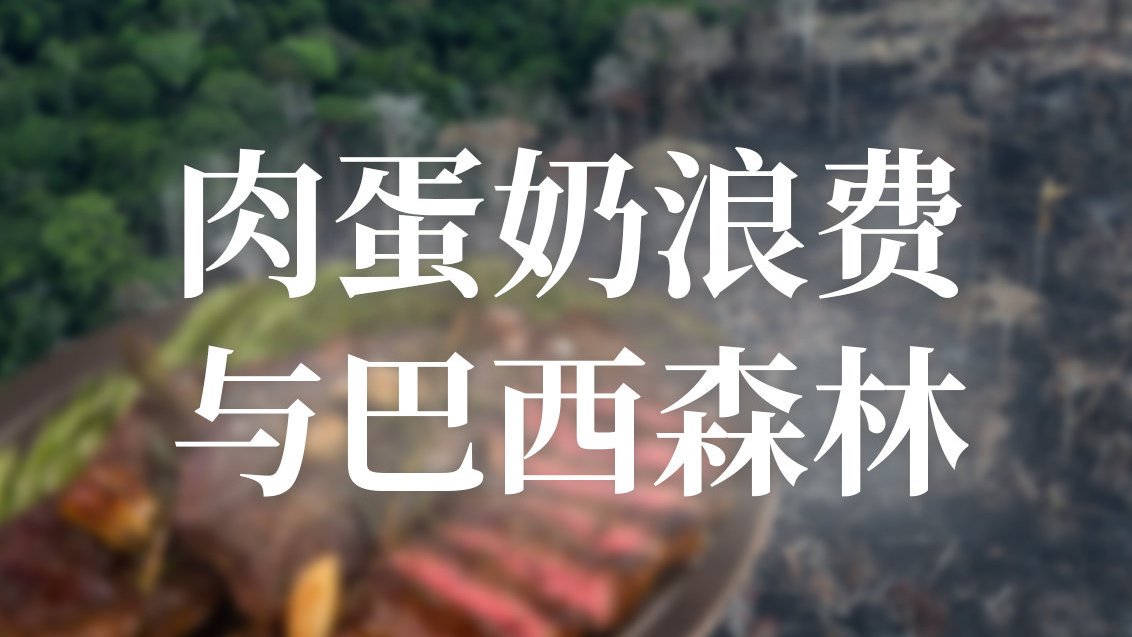 【真相!肉蛋奶浪费与巴西森林】美国是一个爱吃肉的国家,人年均肉类消费量超过100公斤。如果