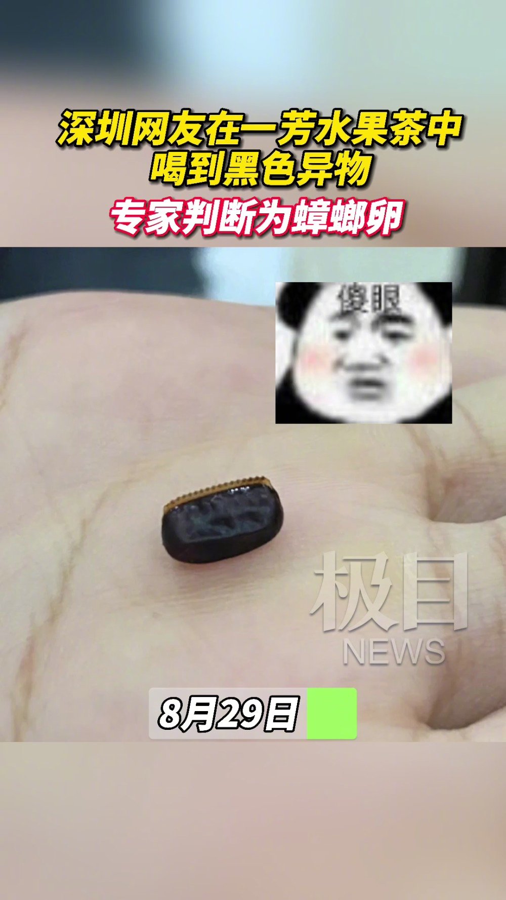 【网友在一芳水果茶奶茶中喝到黑色异物,专家判断为蟑螂卵】8月29日,一位网友在社交平台发布