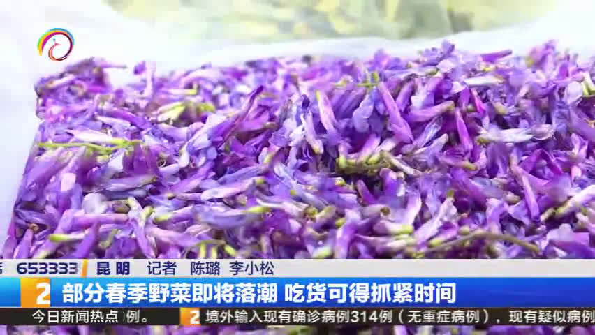 #昆明城市服务台# 【云南部分春季野菜即将落潮 错过再等一年[三哈]】随着天气越来越热,云