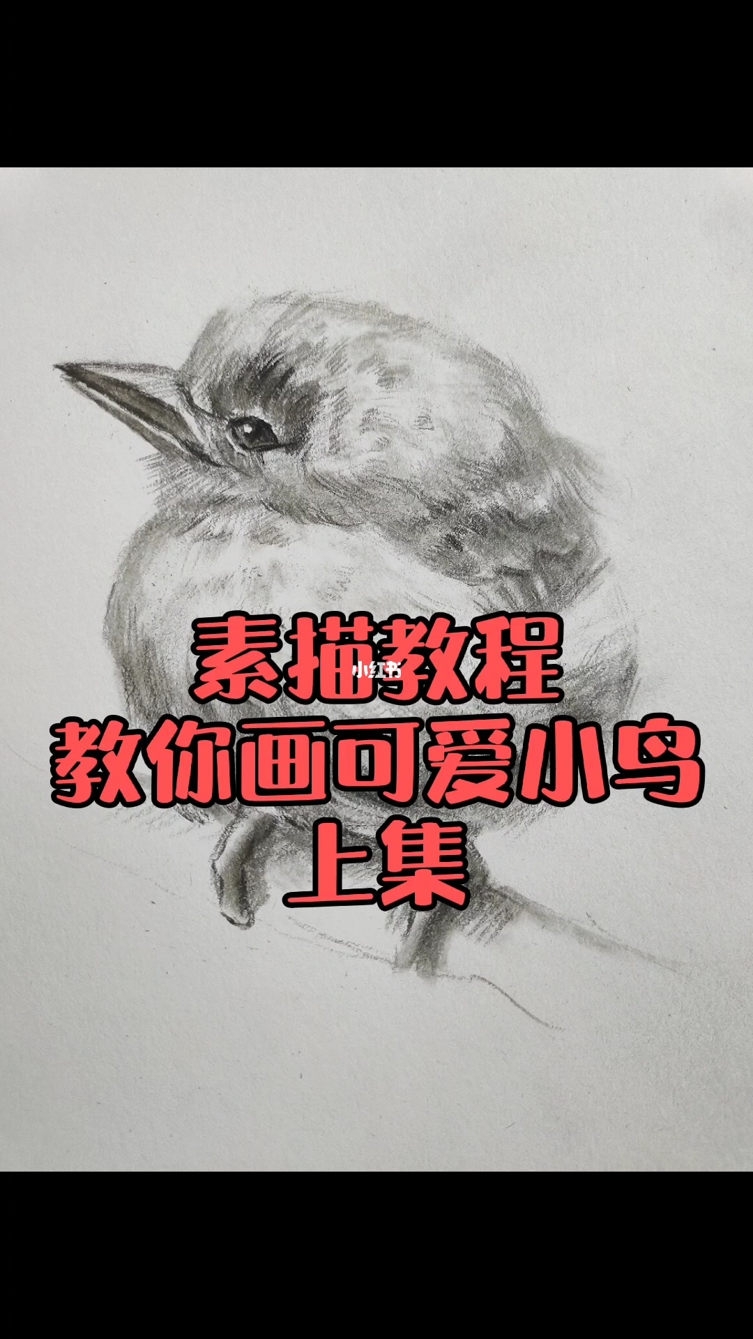 素描教程|教你画可爱小鸟上集 画了这个小鸟以后烤了吃了[鄙视]
