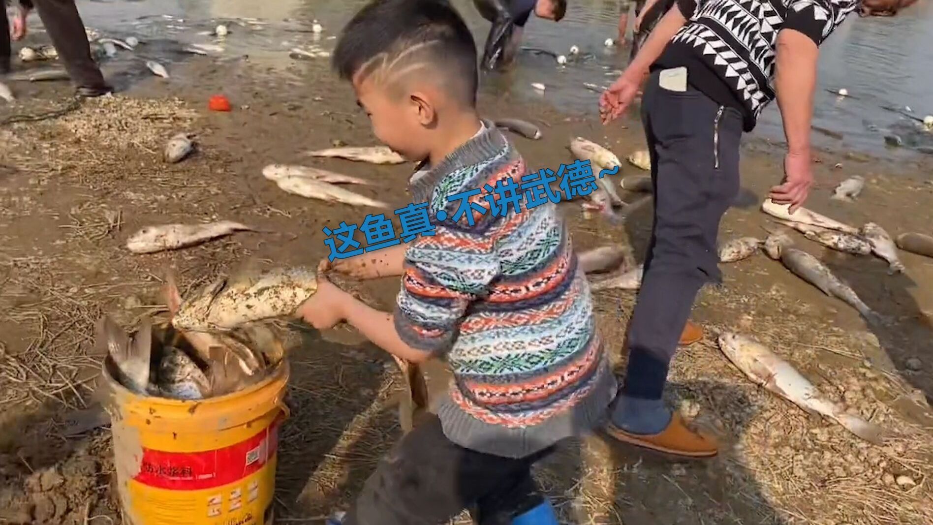 【南昌小男孩兴高采烈搬上来一条大鱼 下一秒大鱼的动作却让他不知所措[笑哭]】2月7日,江西