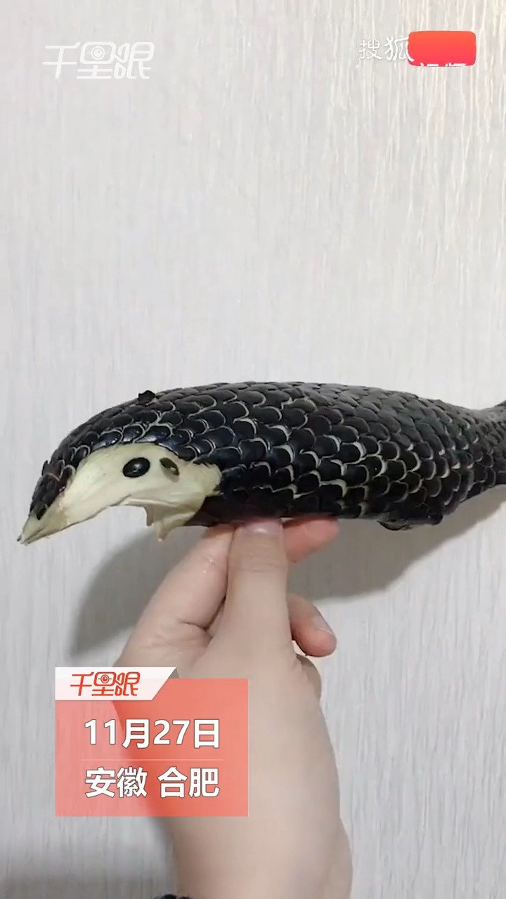 【超有想象力!家长为陪娃将蔬菜水果做成小动物:当天吃什么菜就临时创作】#小布视界# 11月