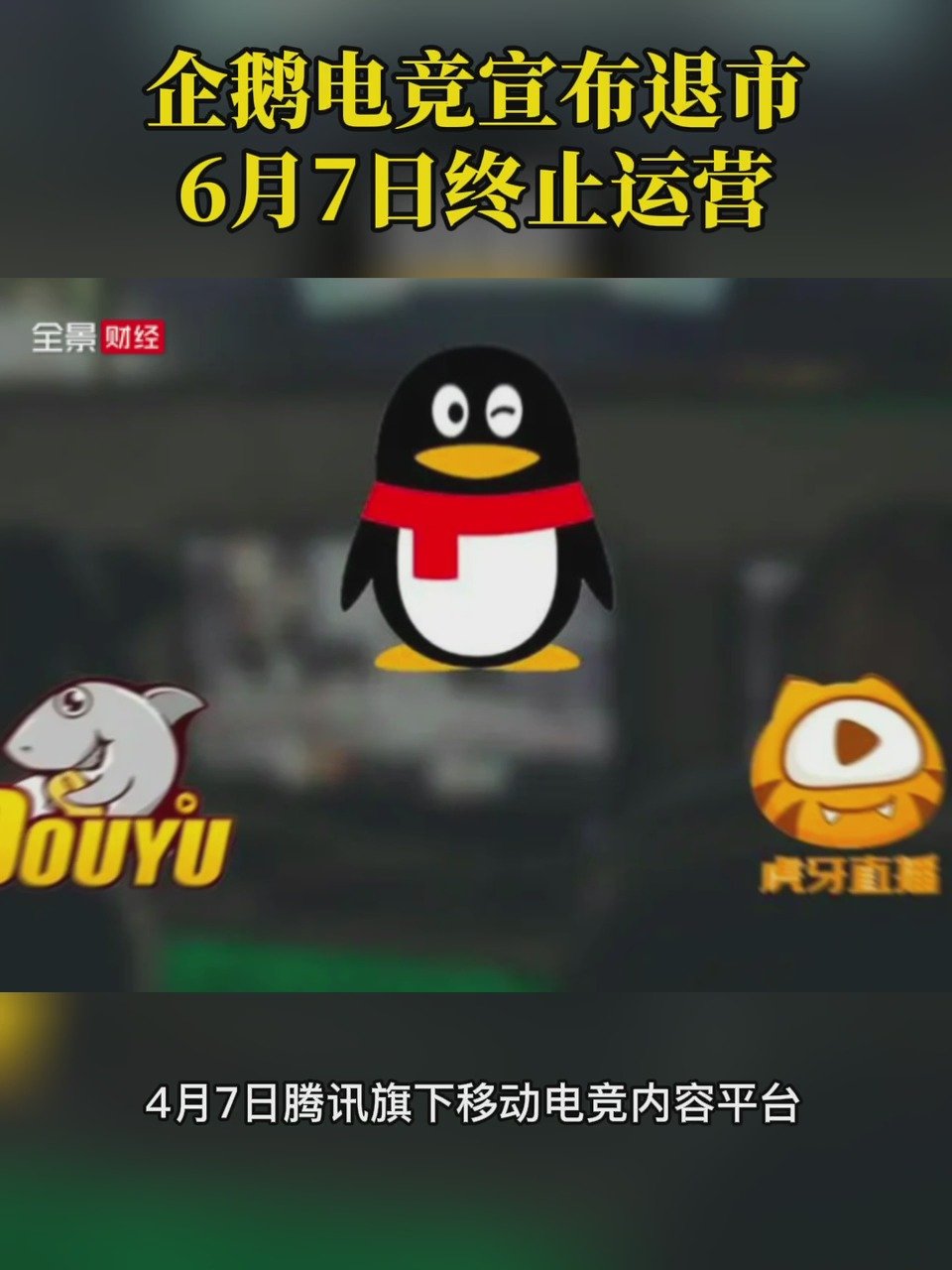 #全景有料# 【#企鹅电竞宣布退市# 6月7日终止运营 】4月7日,腾讯旗下移动电竞内容平