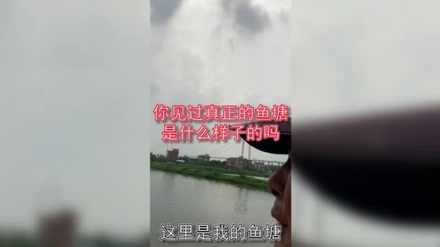 【刘涛直播卖鱼塘广州鱼塘主分享养鱼之路:承包200亩大鱼塘、年入百万究竟是什么体验?】近日