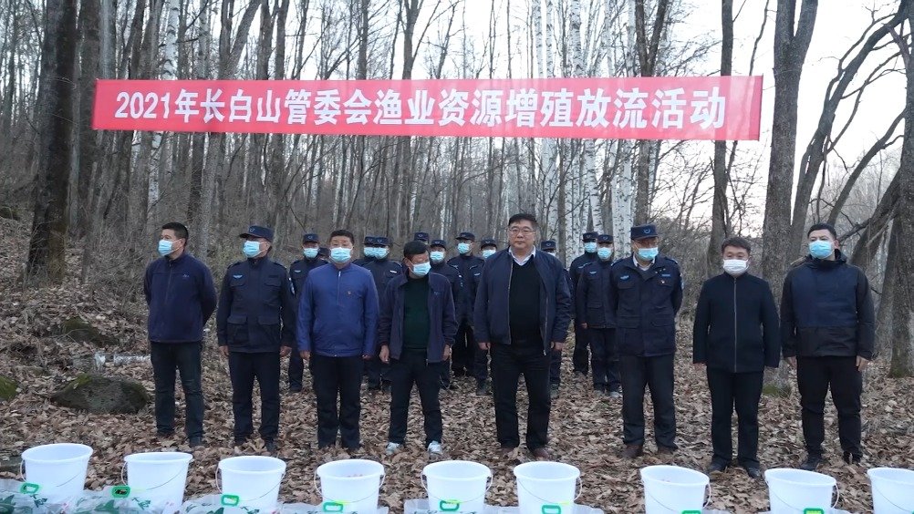 【1.5万尾细鳞鱼“入住”头道白河】为维护长白山保护开发区辖区内水环境质量,保护水生物多样