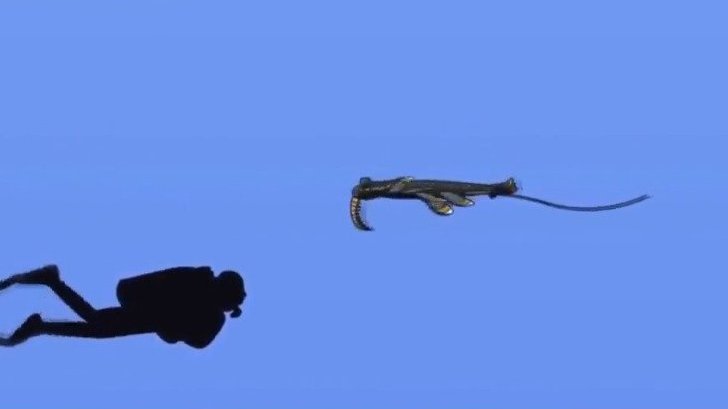 #生活小百科# 动画看已灭绝的海洋动物到底有多大?