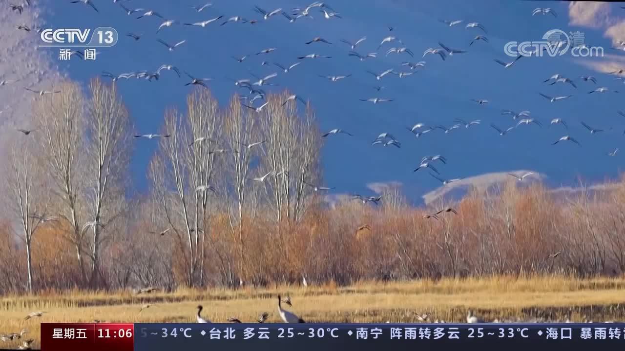 【快来看看这些珍贵的野生动物,你见过几个】广漠而复杂的地域、多变又独特的气候、丰富并多样的