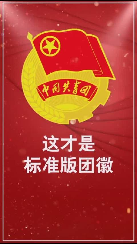 快快对照一下,看看你的团徽标准吗?(中国共青团网)