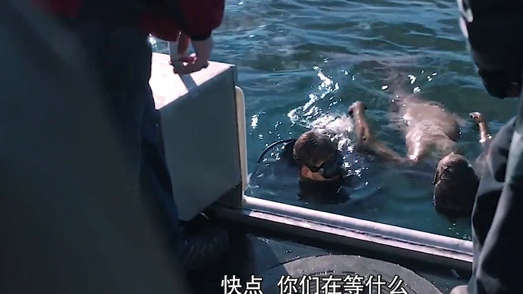 美人鱼怀孕的背后到底是谁的阴谋 #影视剪辑#  