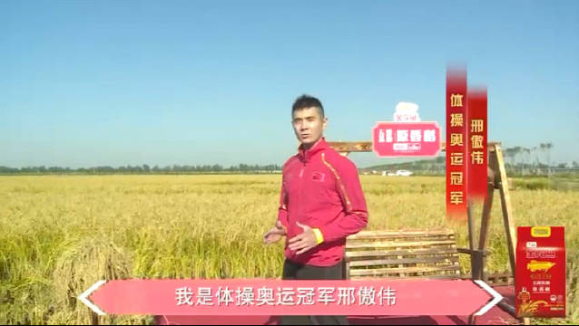 金龙鱼五常基地原香稻新米节,我来喽!前不久受金龙鱼邀请,走进生态示范区感受了生态种植基地丰
