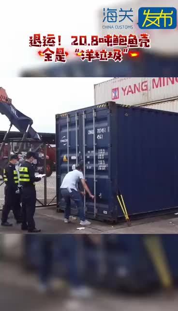【鲍鱼壳,从哪儿来退哪儿去】近日,在深圳海关所属大鹏海关的监管下,一批总重20.8吨的“洋