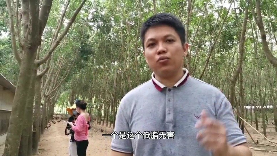 天南地北话小康【这些很彪悍的鸡,供给雪龙号!】琼中是海南黎族和苗族主要聚居地,这里有家农业