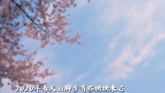 【全网赏樱倒计时|英雄武汉,依然花开】樱园春始,珞樱缤纷,晴川吹雪。3月18日(周三),“