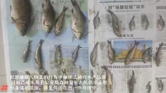 【#男子使用迷魂阵渔网捕鱼被抓#】#长江禁渔行动# 总有人贪那一嘴“河鲜”,甚至不惜铤而走