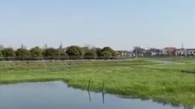 【#95后大学生毕业回农村两年当老板#】长沙望城区,95后小伙刘志鹏大学毕业后回到家乡,承
