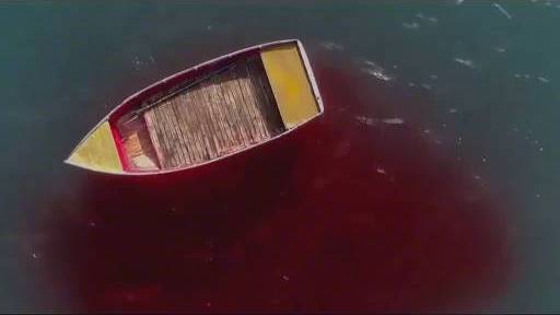 宅男女神赵奕欢牺牲最大的电影,为还原真实,全程未用替身出镜!