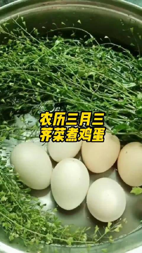 【农历#三月三荠菜煮鸡蛋# ,感受浓浓乡愁】4月3日是农历三月三,民间有吃地菜煮鸡蛋习俗。