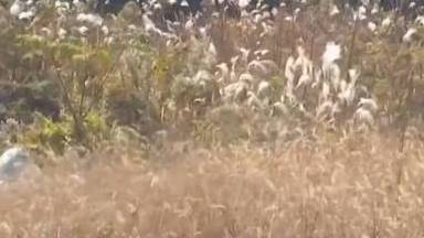 【泪目,“好久不见”!民警帮病重老人找回亡妻唯一照片】我身边的向上力&nbsp;南京张女士的母亲于1