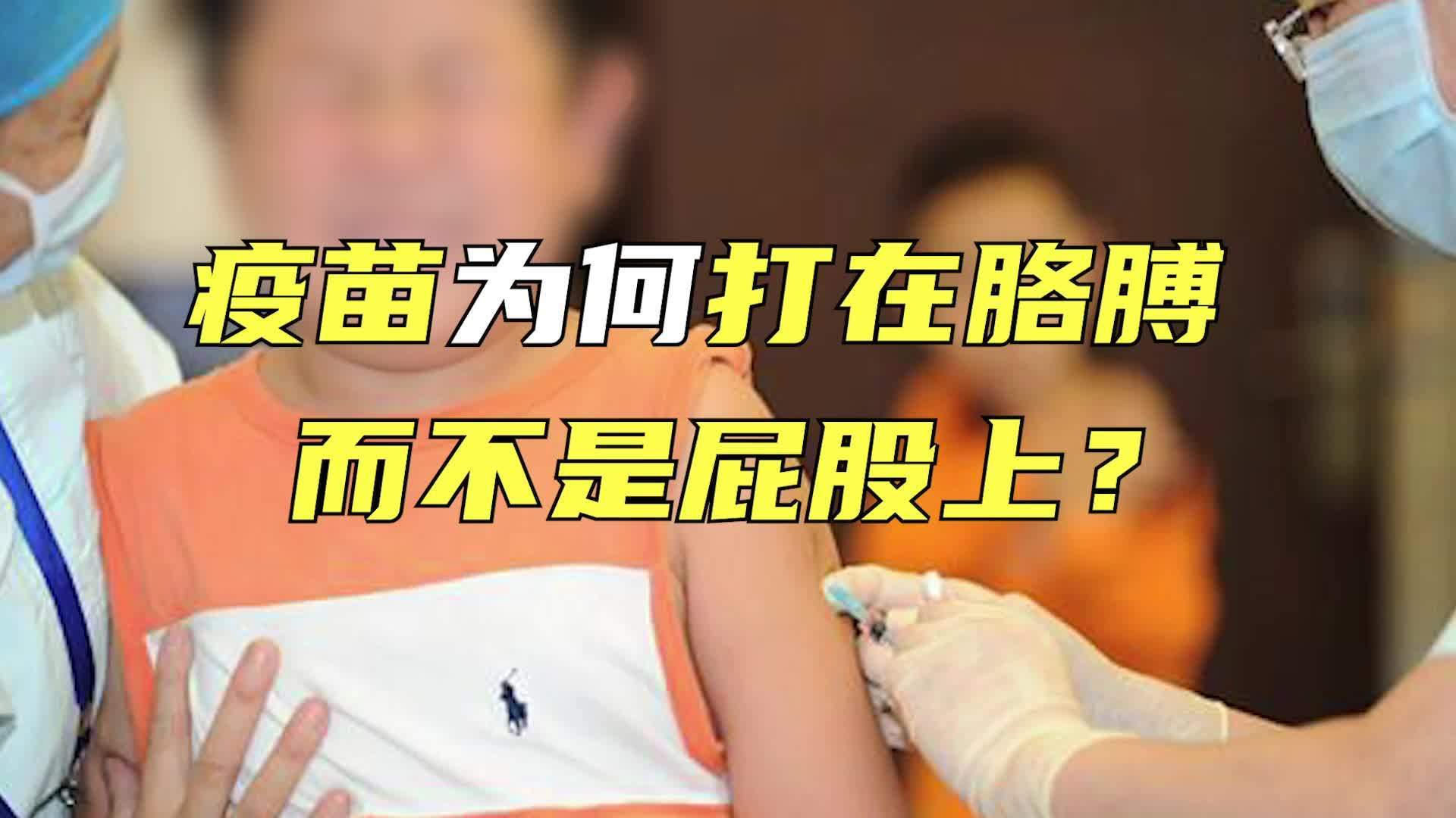 【疫苗为何打在胳膊而不是屁股上】成千上万的人卷起袖子接种新冠疫苗,但疫苗为何打在胳膊而不是