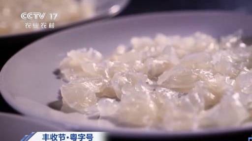 【广东顺德的鱼得健身网友:不愧是世界美食之都!】“捞起捞起,风生水起!”在顺德吃鱼生要先对