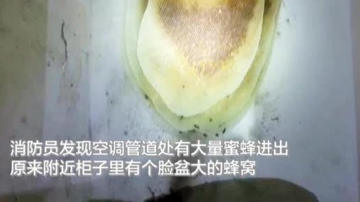 【疫情不在家满屋子死蜜蜂 女子家中找出脸盆大蜂窝】3月17日,徐州一女子报警称,疫情期间回