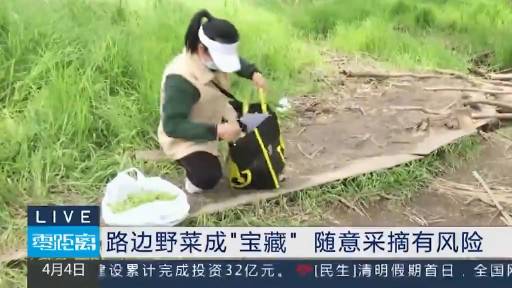 【尝鲜需谨慎!专家提醒随意采摘野菜有风险】春季,不少市民会去公园绿草地里挖野菜,尝春鲜。然