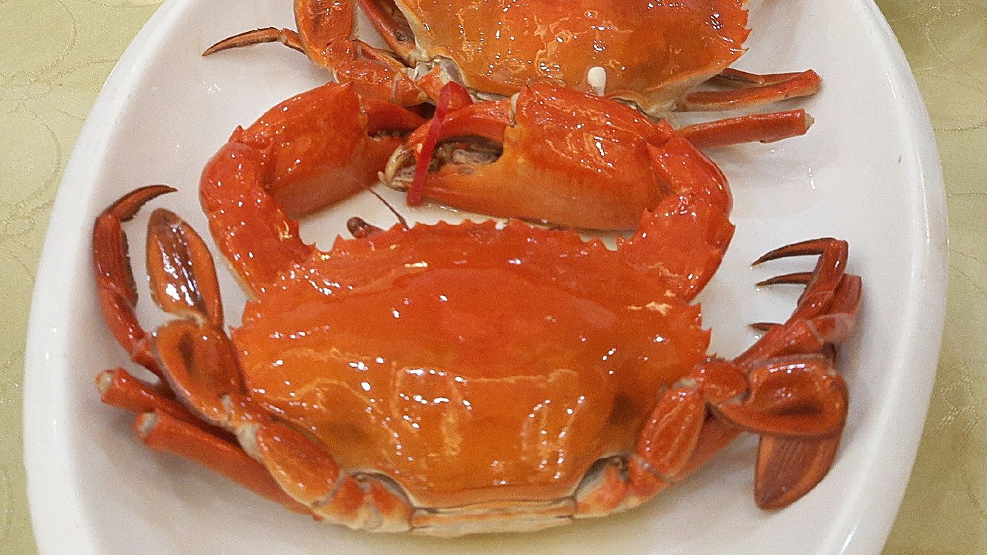 东莞虎门食海鲜,鸡脯鱼蛏子,泥鯭大肉蟹。#美食分享# #海鲜#